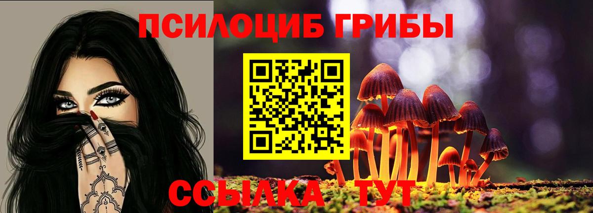 Борзя  Галлюциногенные грибы Cubensis  Галлюциногенные грибы прущие грибы  Вход с VPN 